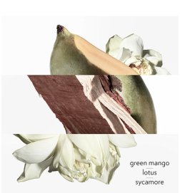 Ein Garten am Nil - Eau de Toilette